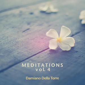 Meditations, Vol. 4