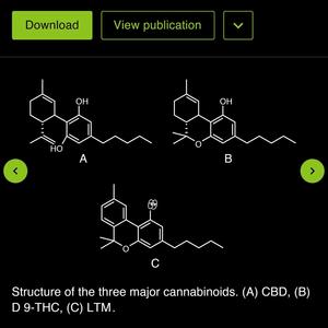 CBD (feat. Ohsaka) [THC Remix] [Explicit]