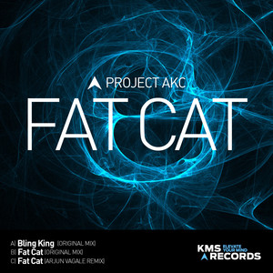 Project AKC - Bling King (Extended Mix)
