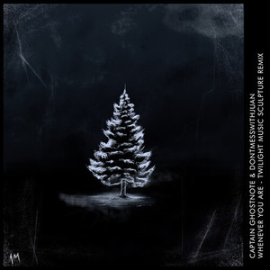 Whenever You Are (Remix Radio Edit)