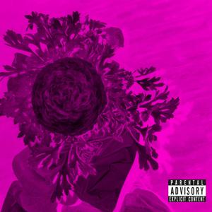 well deserved flowers (ep) [Explicit]