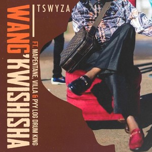 Wang'kwishisha (feat. Villa, Mapentane & Pyy Logdrum King) [Explicit]