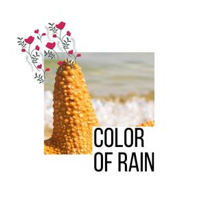 Color of Rain