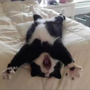 讨厌我自己 (怎么无法忘记)