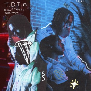T.D.I.M (Explicit)