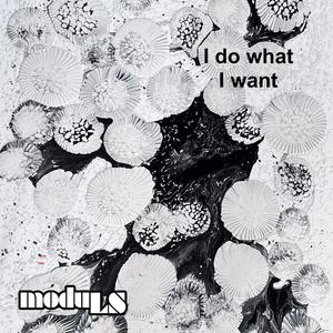 I do what I want (feat. Sheen) (French Demo Version)