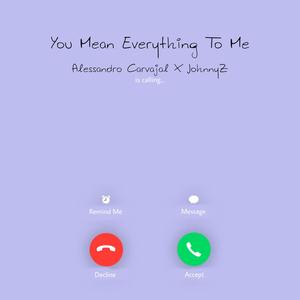 You Mean Everything To Me (feat. JohnnyZ)