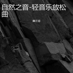 下微微雨-轻音乐放松曲