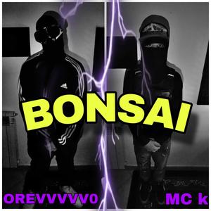 BONSAI (feat. orevvvvv0) (Explicit)