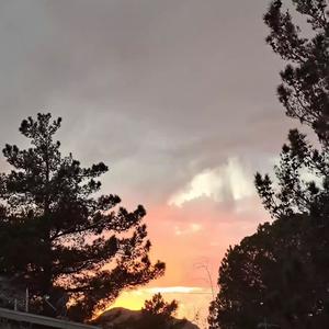 Damn it all! (feat. liltaurus223) (Explicit)