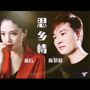 思乡情 (Dj沈念版)