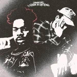 A FLOWER IN THE DUNES (Explicit)