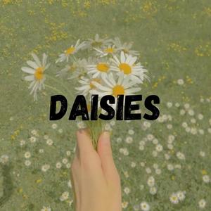 Daisies