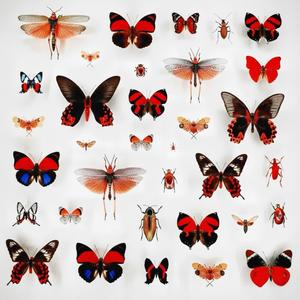 START SOMETHING (Explicit)