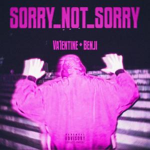 SORRY NOT SORRY (Explicit)