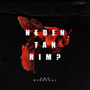 Neden Tanrım?(feat. Berregal)