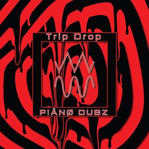 P!ÅNØ DUBZ(MAKE WAVS)