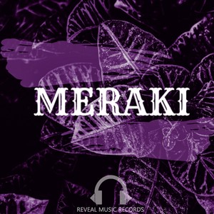 Meraki