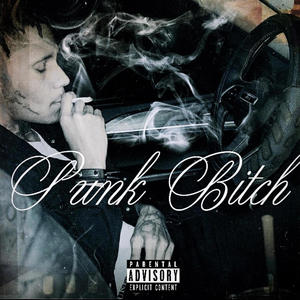 Punk ***** (Explicit)