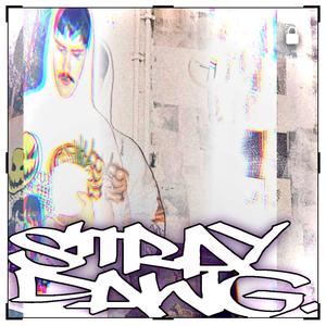 Stray Dawg (Explicit)