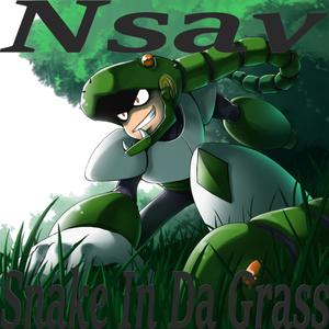 Snake In Da Grass (Explicit)