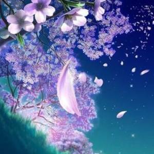 巷尾的花
