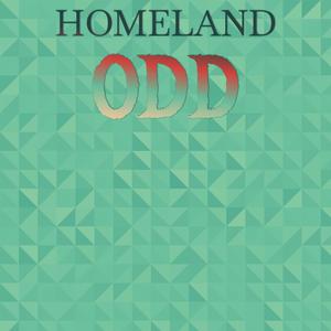 Homeland Odd
