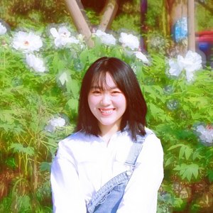 一场游戏一场梦