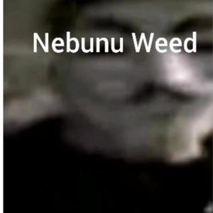 nebunu **** 3 (feat. Manzutz, razvy & damiann) (Explicit)