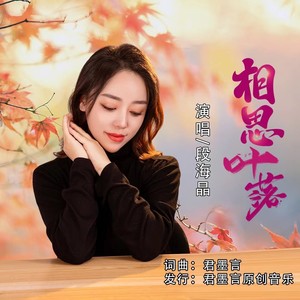 相思叶落 (段海晶版伴奏)