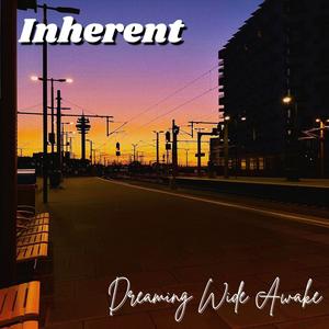 Dreaming Wide Awake