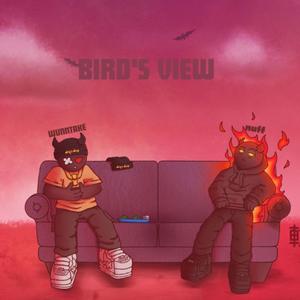BIRD'S VIEW (feat. WUNNTAKE) (Explicit)