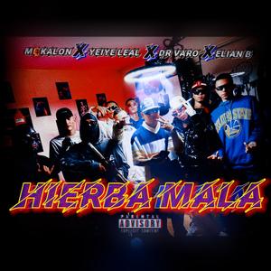 Hierba mala (feat. Dr varo, Mc kalon, Elian b, Babby demon & Mic angelo) [Explicit]