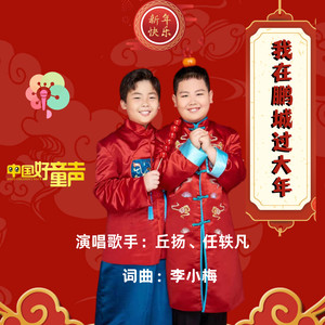 我在鹏城过大年