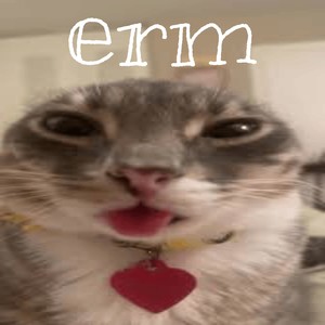 erm