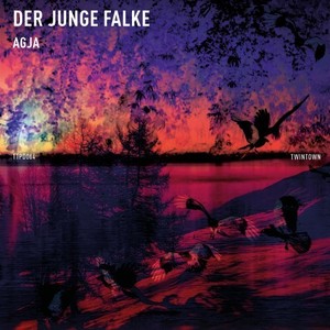 Der junge Falke