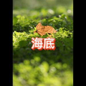 我习惯了一个人 (真实版)