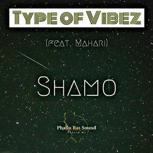 Type of Vibez(feat. Mahari)