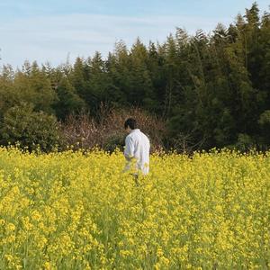 다시 봄이 오는 것처럼 (Like Spring Comes)