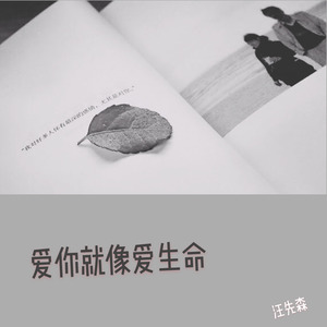 爱你就像爱生命封面