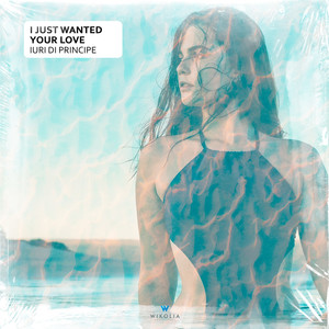 I Just Wanted Your Love (Summer Club Mix)