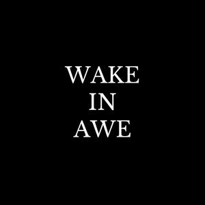 Wake In Awe