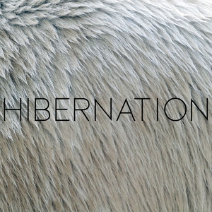 Hibernation