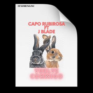 Vuelve Conmigo (Clean)