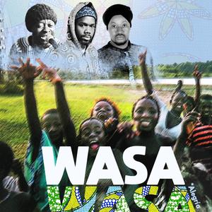 Wasa wasa(feat. Maiky Moiche)