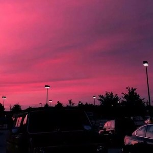 I've never loved you so much