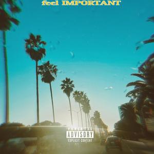 feel IMPORTANT (Explicit)