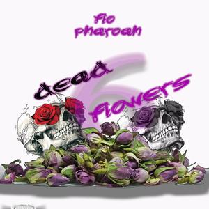 Dead Flowers (Explicit)