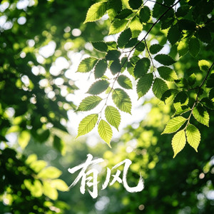 有风 (love is easy)-米鲁