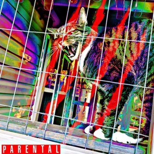 Gangsta Bug Remix (feat. Ghetto Cat Lady) (Explicit)